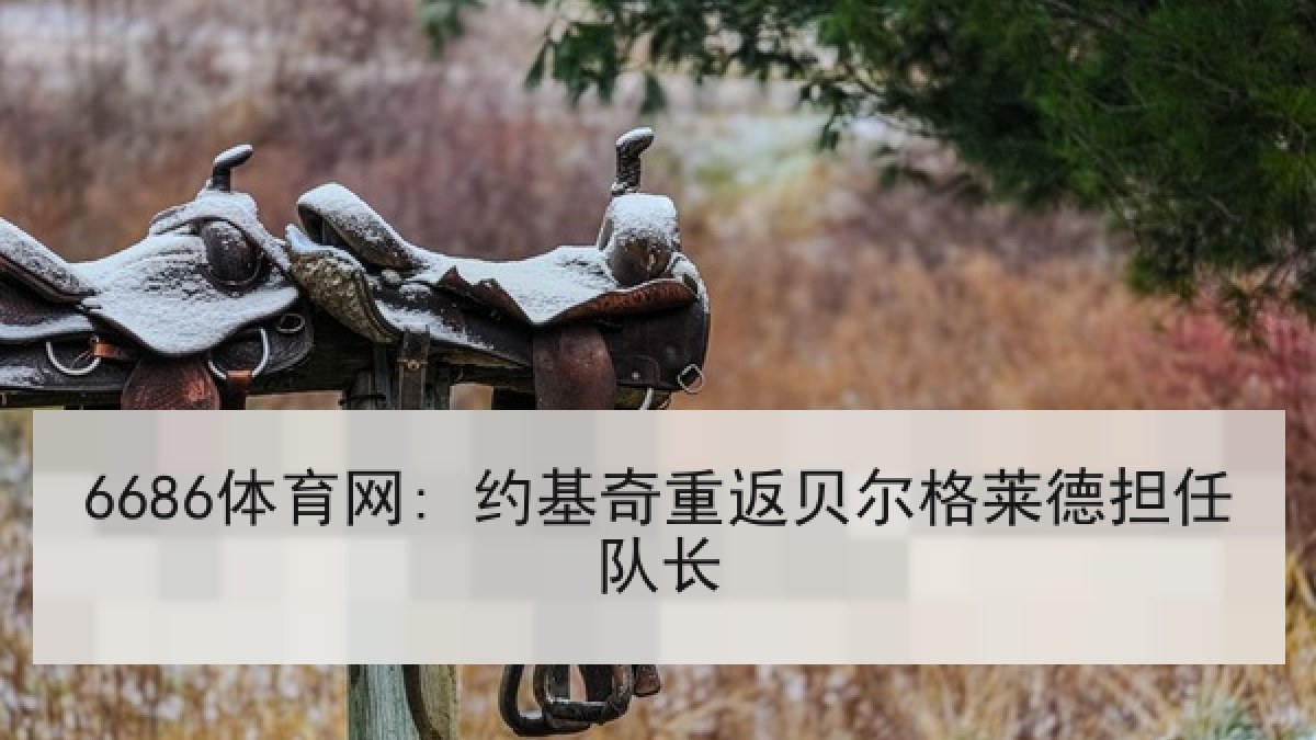 6686体育网: 约基奇重返贝尔格莱德担任队长