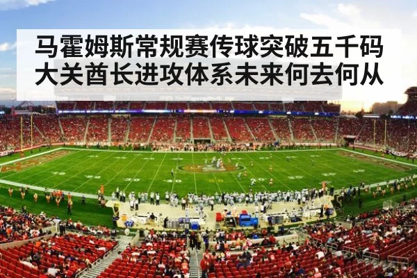 NFL football stadium